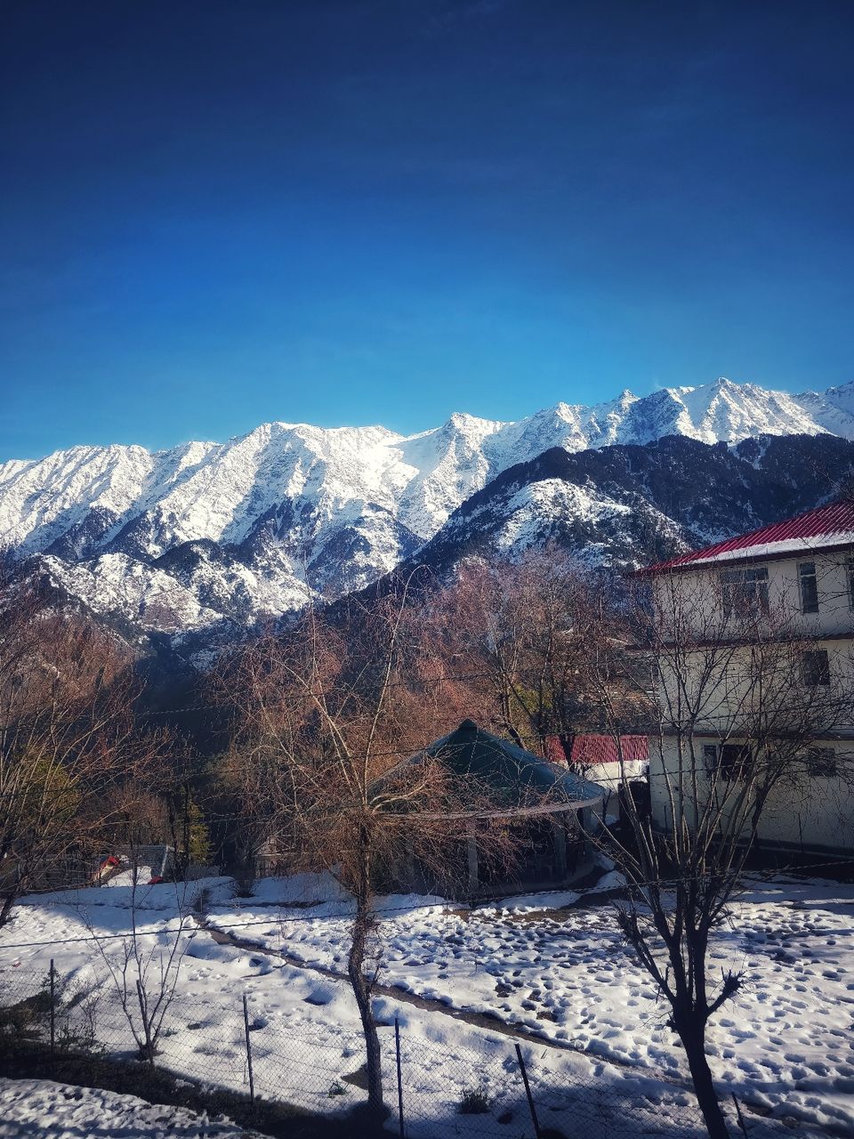 Photo of Shovas Nest, Shova's Nest, (Himworld, Naddi Road, Naddi, Dal Lake, Dharamshala, Himachal Pradesh, India by brown_blogger