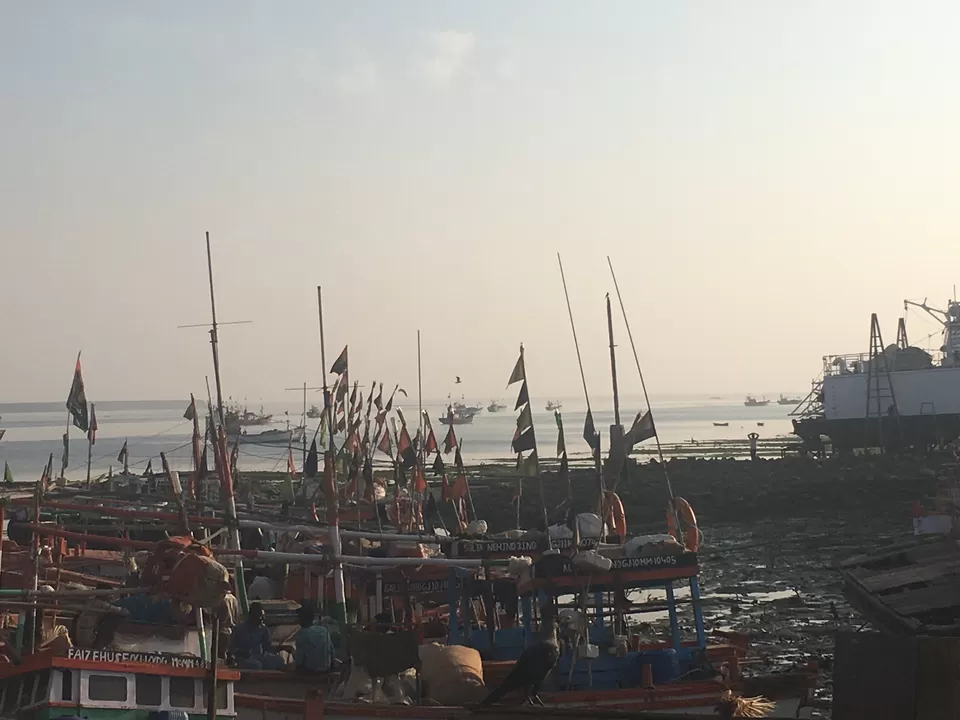 Photo of Mandvi, Gujarat, India by Nainshree Goyal