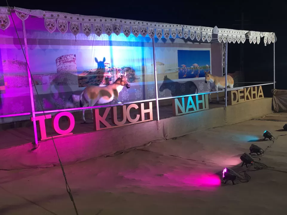 Photo of Colorful white sand of Kutch #Tripoto#Gujarat#Travel#TripotoCommunity by Nainshree Goyal