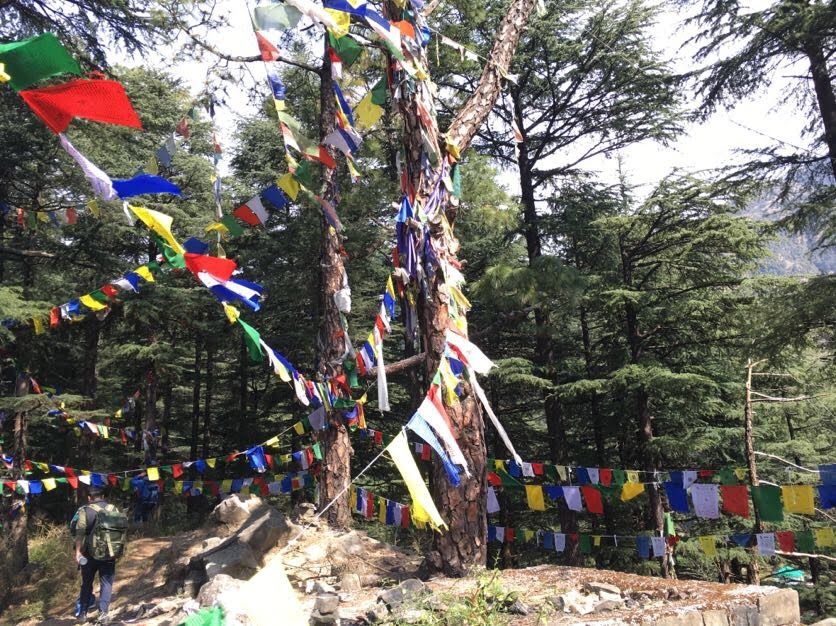 Photo of McLeod Ganj, Dharamshala, Himachal Pradesh, India by Nainshree Goyal