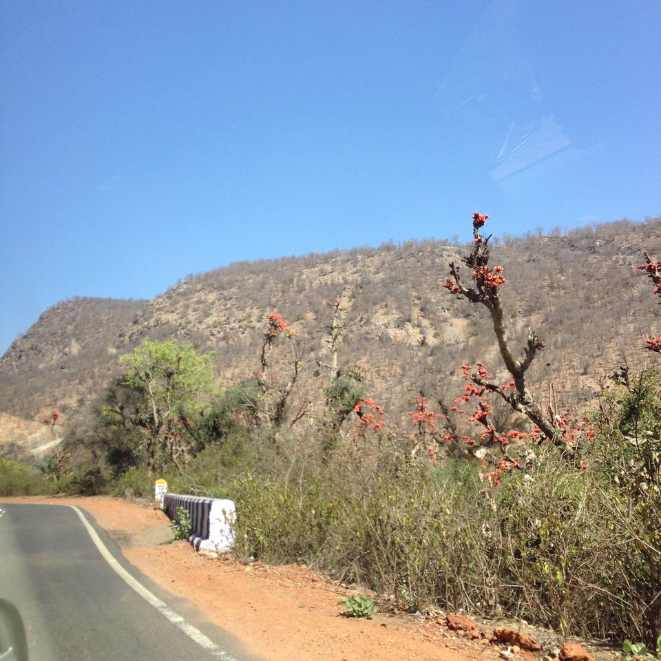 Photo of Weekend Getaway from Delhi: Alwar series part 1 1/1 by Nainshree Goyal
