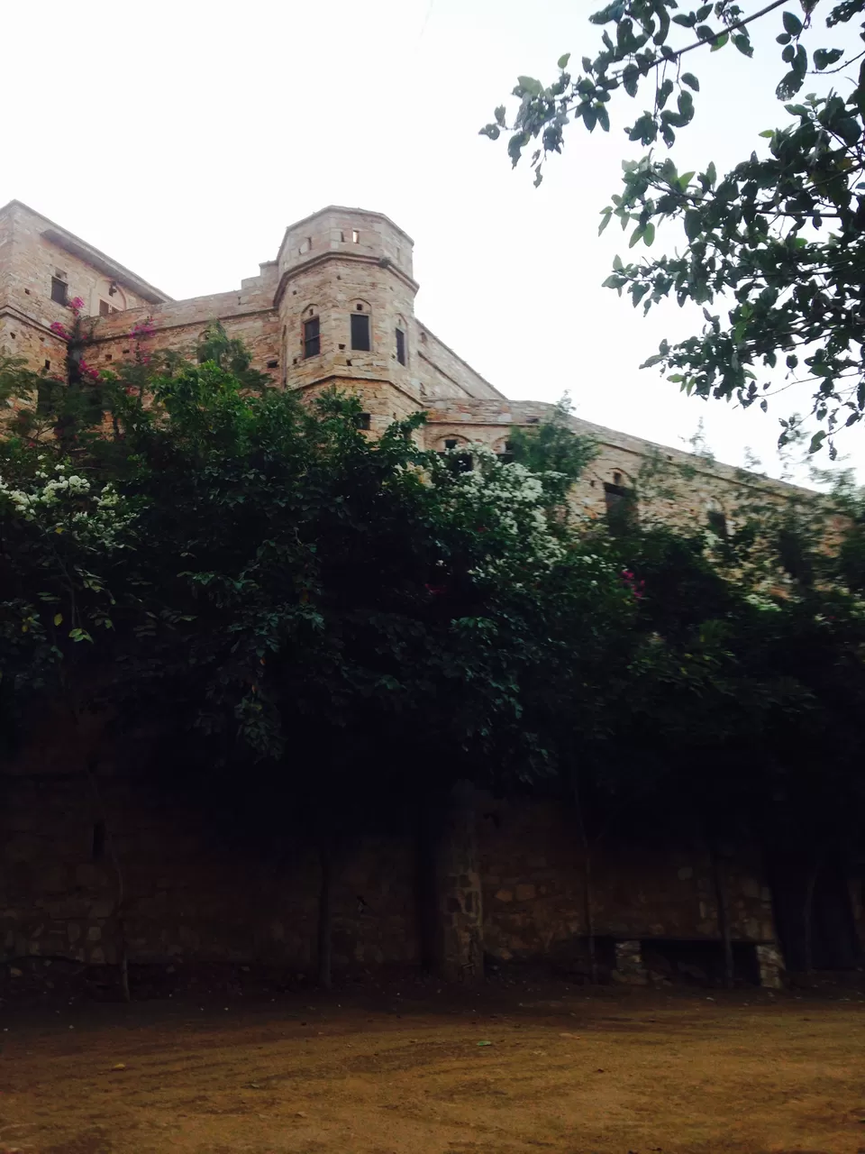 Photo of The Dadhikar Fort, Alwar, Rajasthan, India by Nainshree Goyal