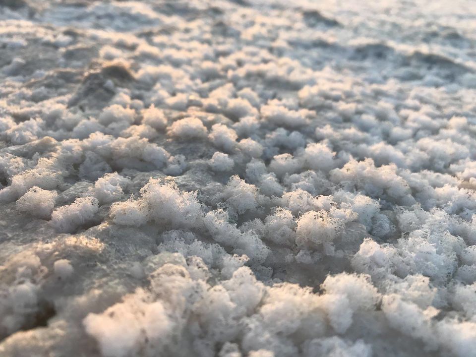 Photo of Colorful white sand of Kutch #Tripoto#Gujarat#Travel#TripotoCommunity by Nainshree Goyal