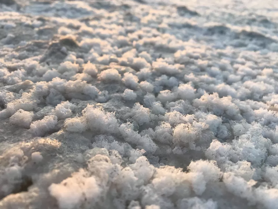 Photo of Rann of Kutch, Gujarat by Nainshree Goyal