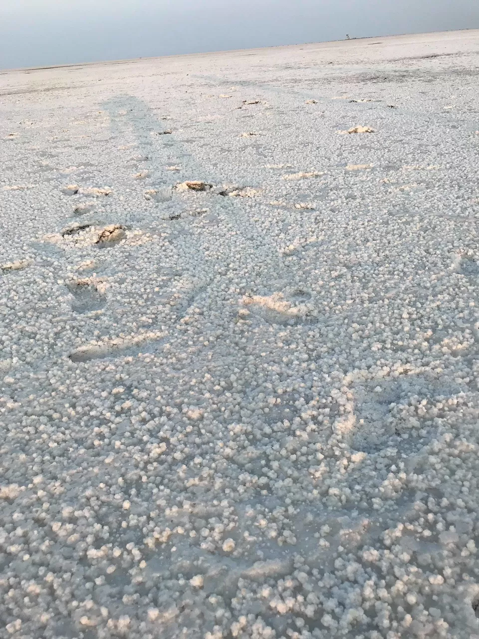 Photo of Rann of Kutch, Gujarat by Nainshree Goyal