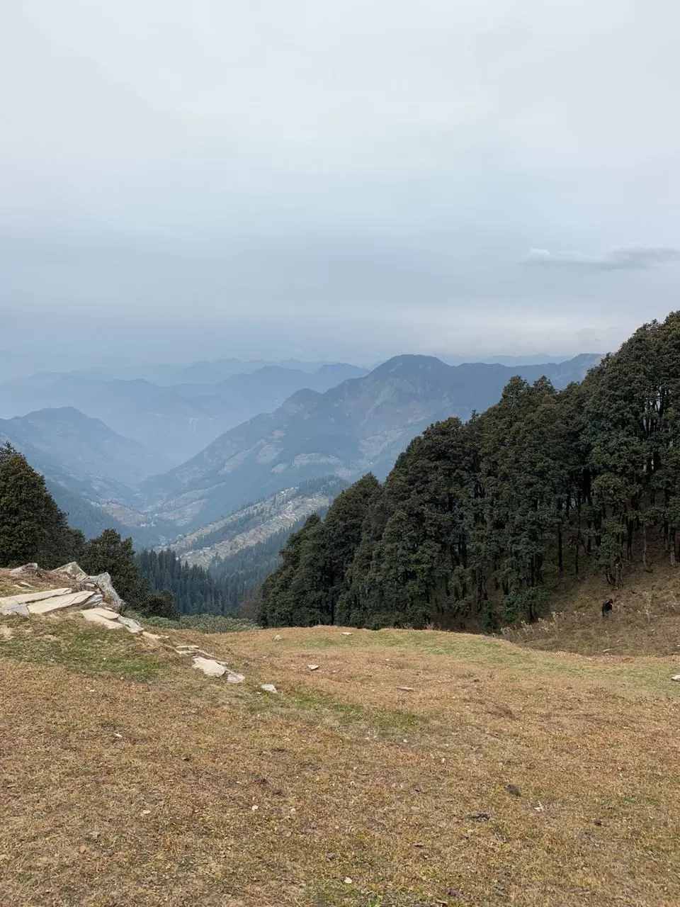 Photo of Tirthan Valley, Pekhri, Himachal Pradesh, India by Nainshree Goyal
