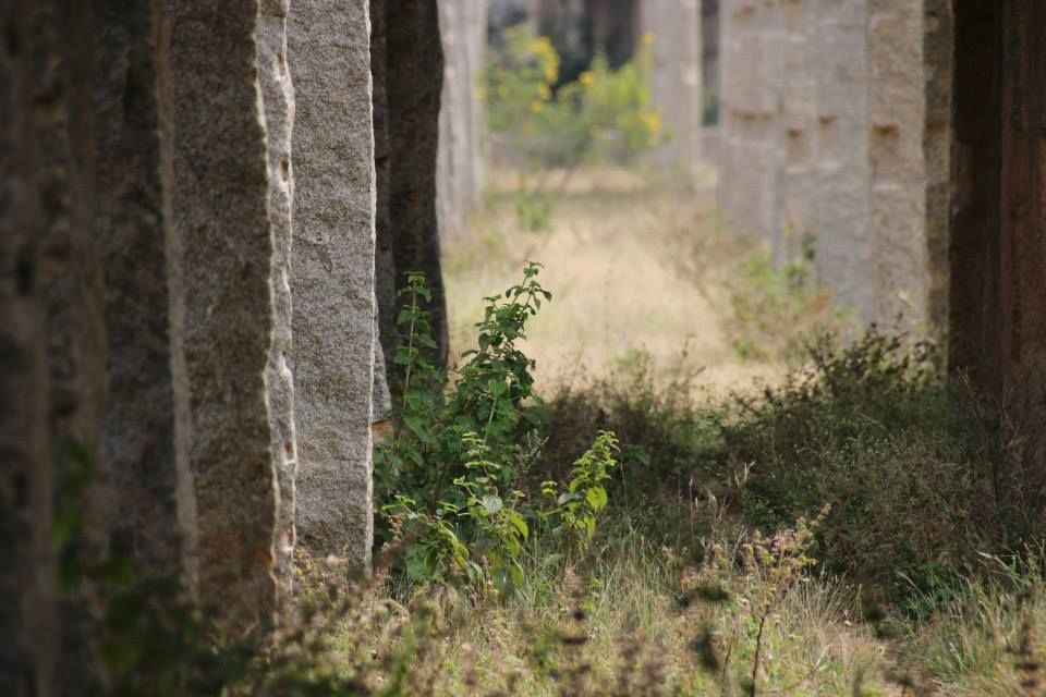 Photo of Magnificent ruins of Hampi by Pathikka