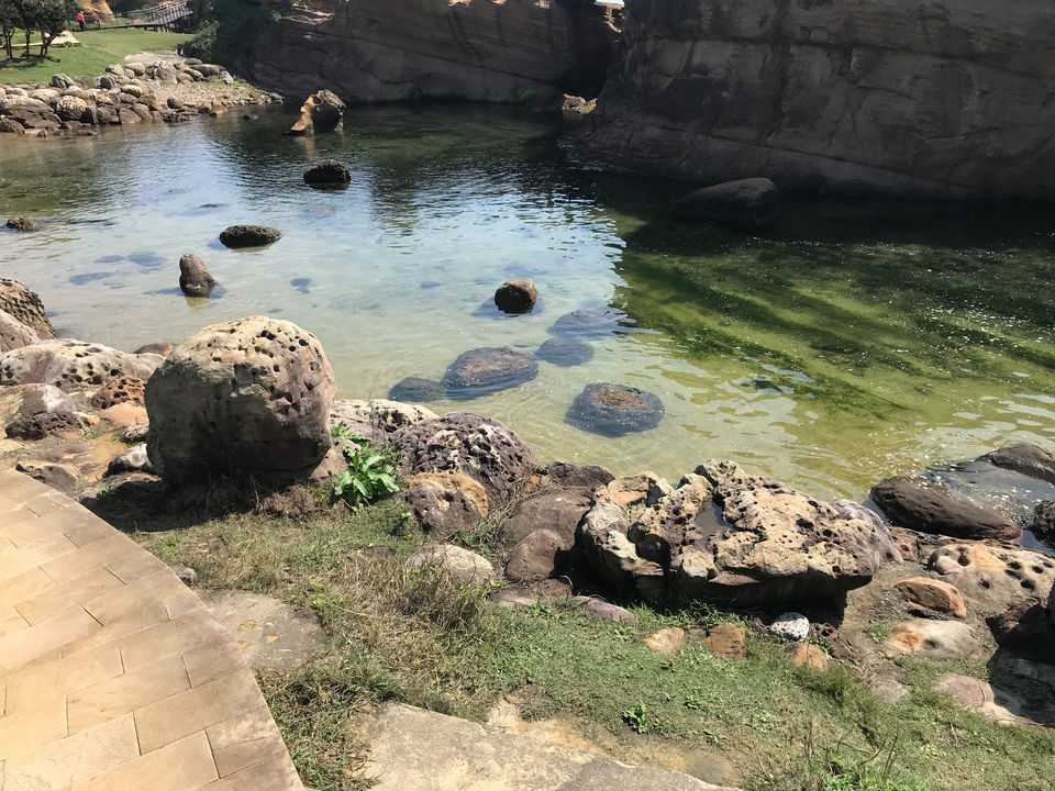Photo of Yehliu Geopark, 港東路 Wanli District, New Taipei City, Taiwan by Tara Anne Nikezic