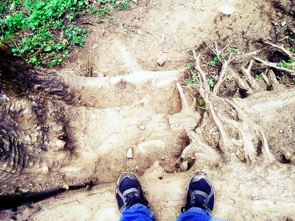 Photo of Backpack for KhirGanga Trek 1/16 by Shivam Negi
