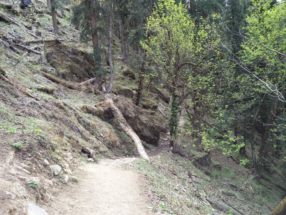 Photo of Backpack for KhirGanga Trek 4/16 by Shivam Negi
