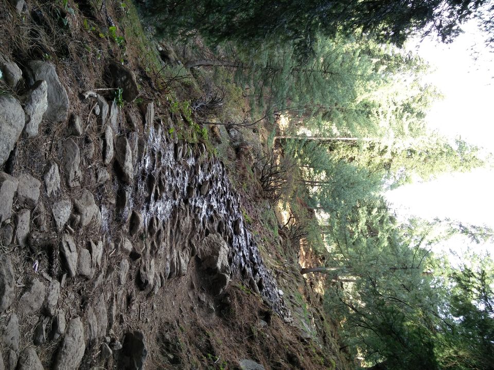 Photo of Backpack for KhirGanga Trek 5/16 by Shivam Negi