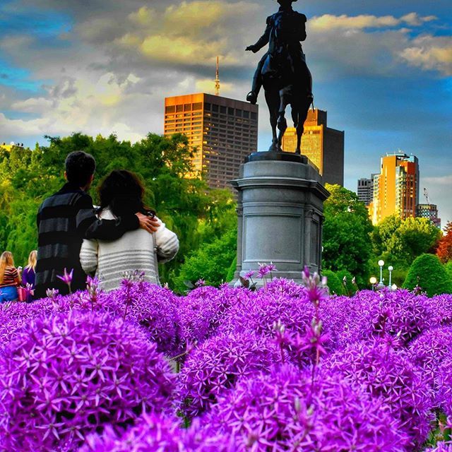 Photo of Why Boston should be your to-go Fall-destination! by Shivam Negi