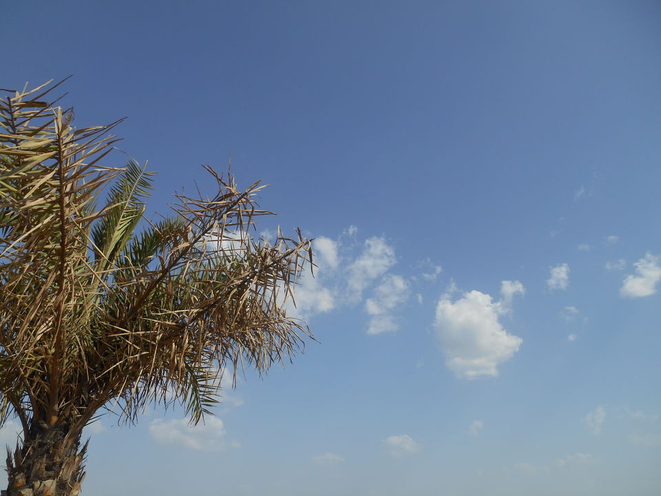 Photo of AJMER DIARIES by Sucheta Sarkar