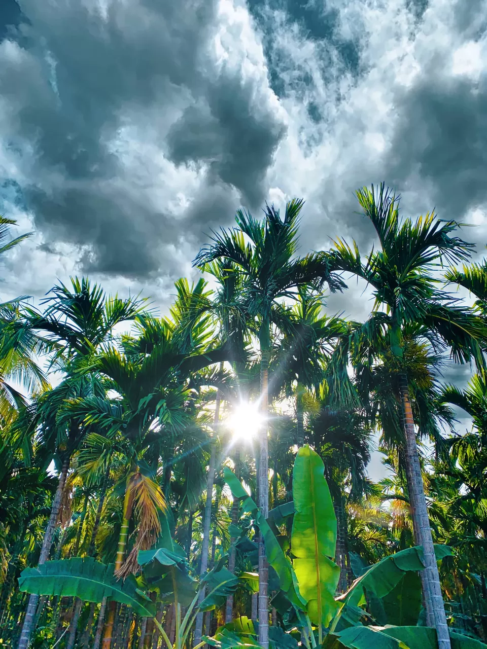 Photo of Gajacombai, Tamil Nadu, India by GoldPearl