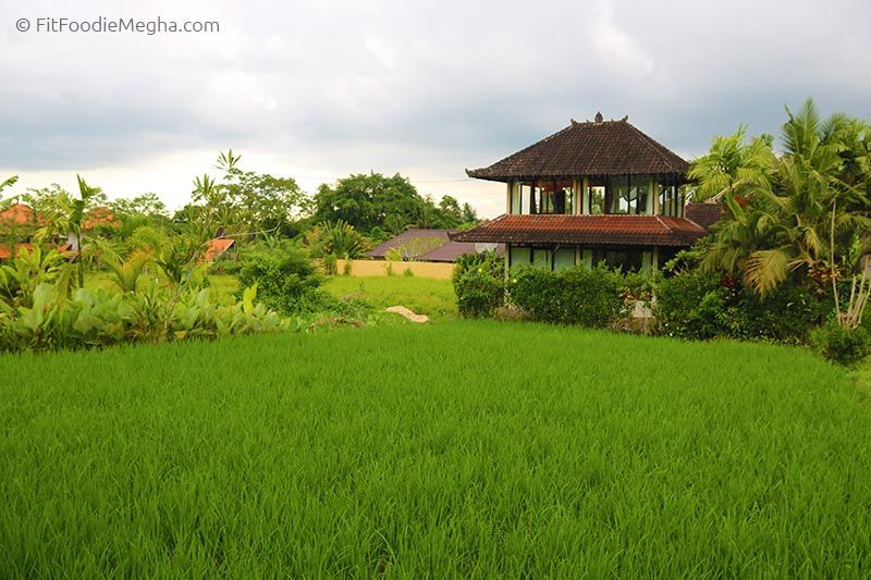Photo of A must visit cafe in Ubud, Bali: The Yellow Flower! 2/8 by Nanchi