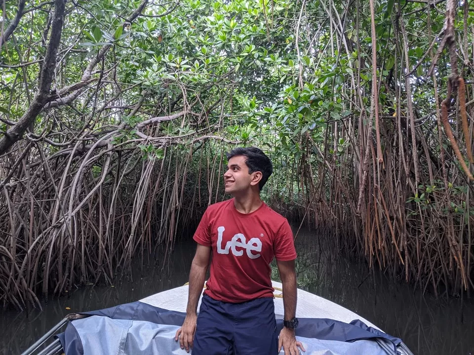 Photo of A day in Pichavaram: Second Largest Mangrove Forest in the World. by Shereen Ajmera