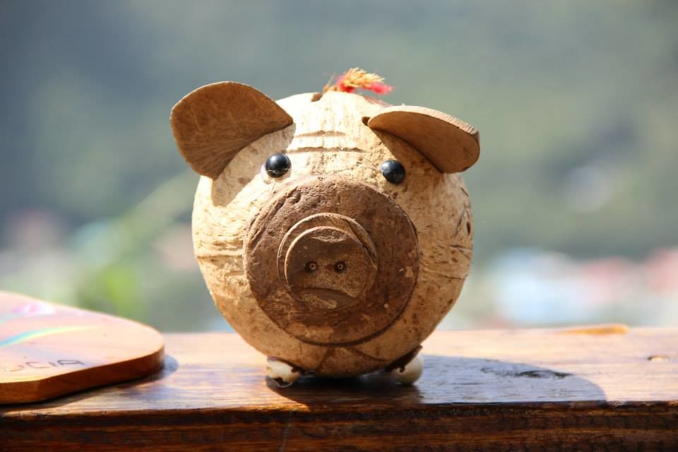 Photo of Saint Lucia, West Indies 5/6 by Nikhil Narayan