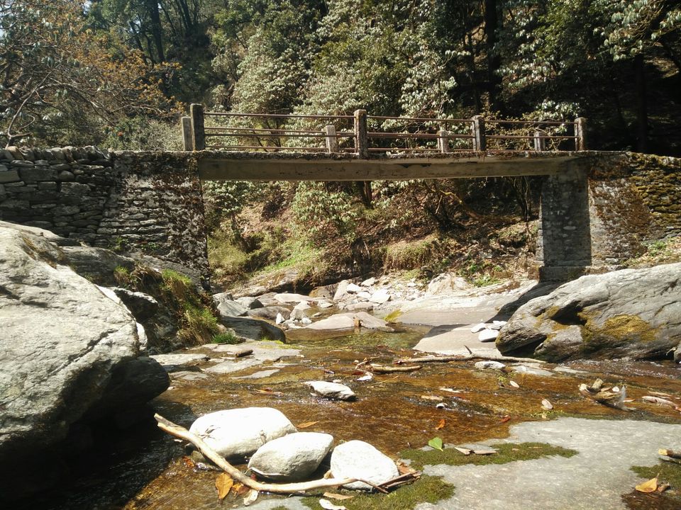 Photo of Deoriatal to Chopta Trekking by Deoriatal To Chopta trekking