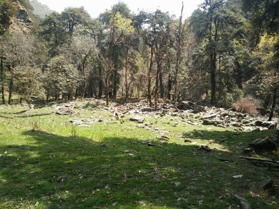 Photo of Deoriatal to Chopta Trekking by Deoriatal To Chopta trekking