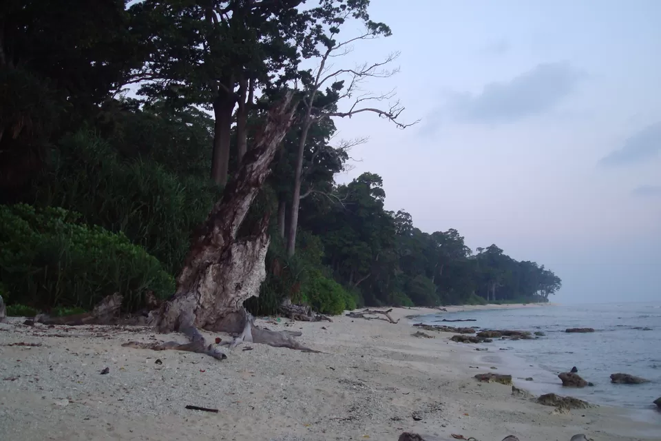 Photo of 7 Day Andaman Trip (Neil + Havelock) at Rs. 20,000 per Person by Ashish G