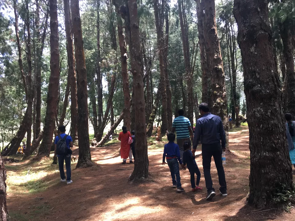 Photo of Best Hill Station in South - 3 Days in Ooty [2018] by Ashish G