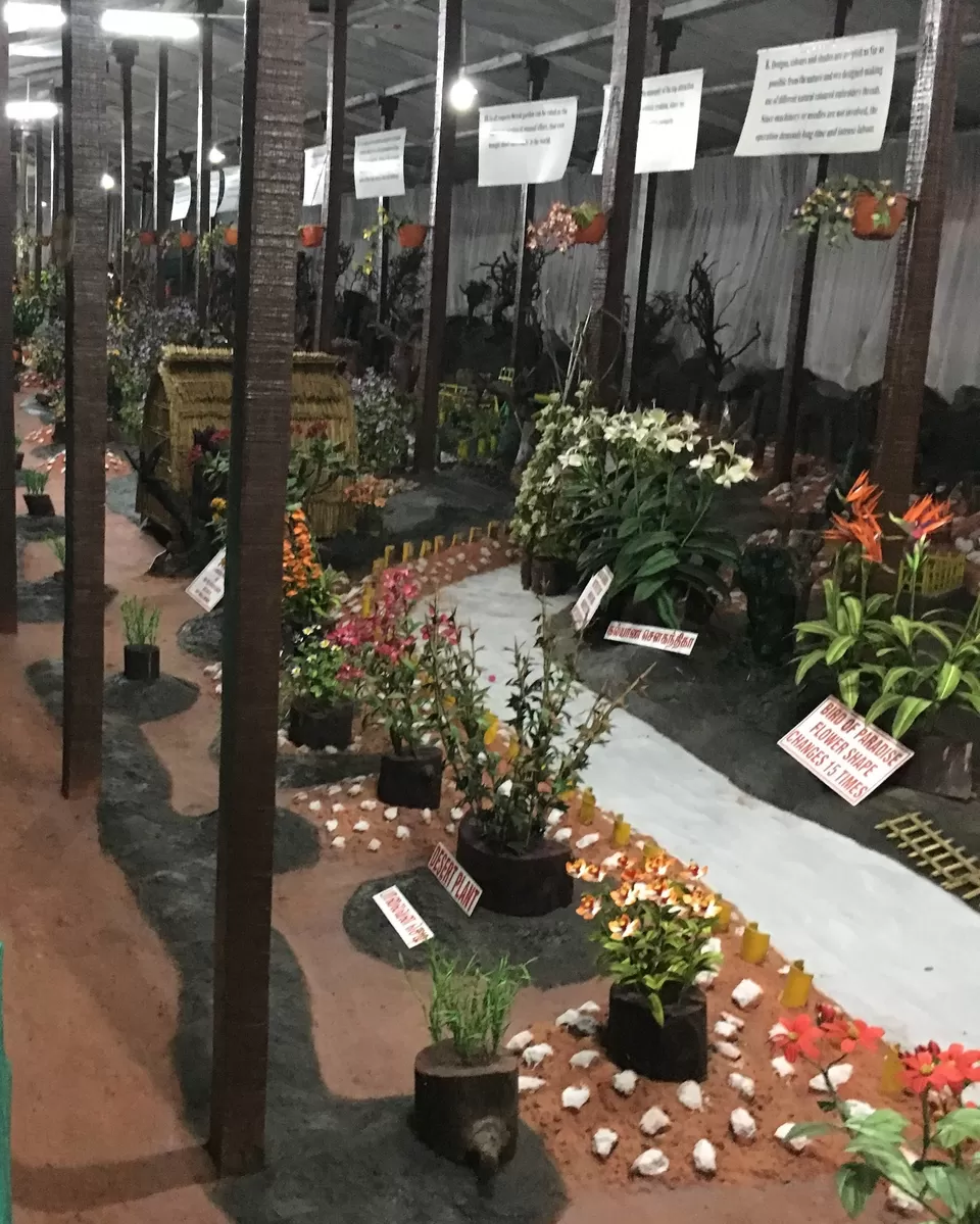 Photo of Best Hill Station in South - 3 Days in Ooty [2018] by Ashish G