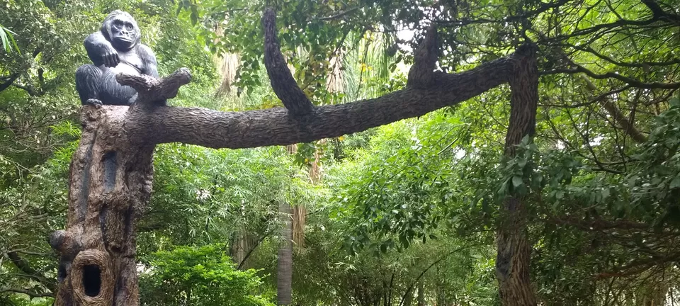 Photo of Mysore Zoo, Ittige Gudu, Mysuru, Karnataka by Ashish G