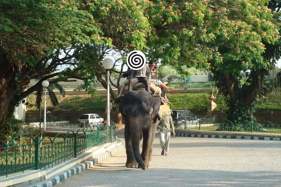 Photo of Your first weekend trip from Bangalore: Mysore-Somanathapura in 2 Days by Ashish G