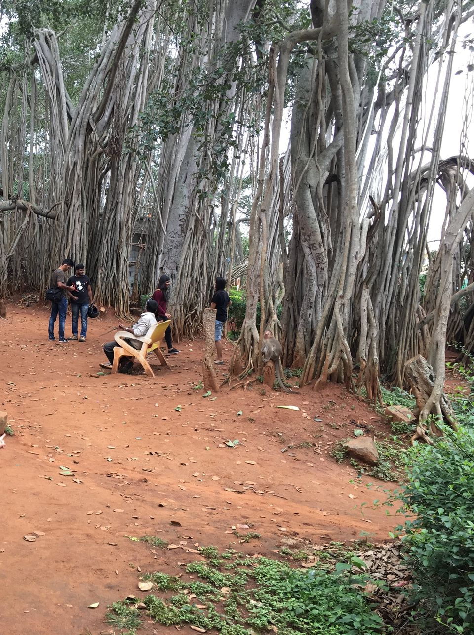 Photo of Make your own a-la-carte Bangalore Itinerary 30/33 by Ashish G