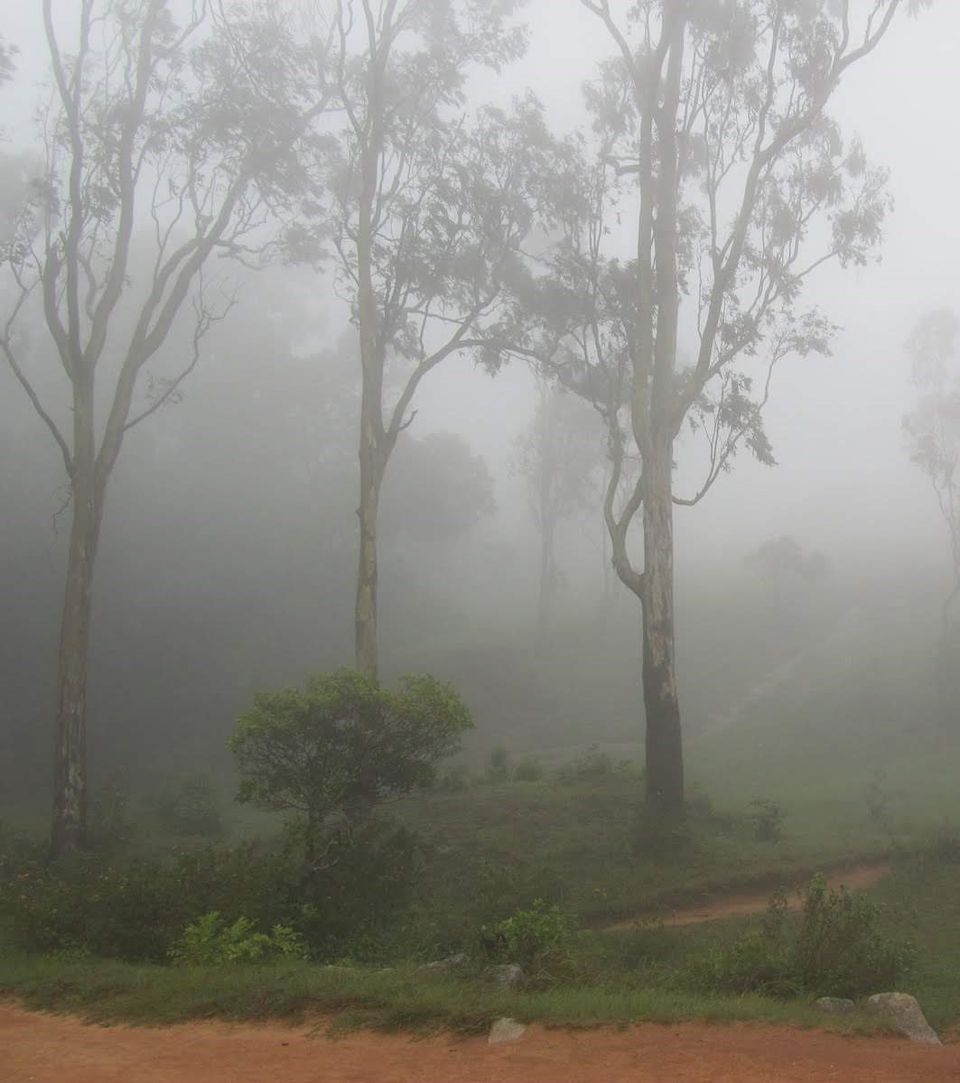 Photo of Make your own a-la-carte Bangalore Itinerary 19/33 by Ashish G