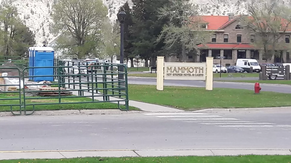 Photo of 4 Days in Yellowstone National Park [2017] by Ashish G