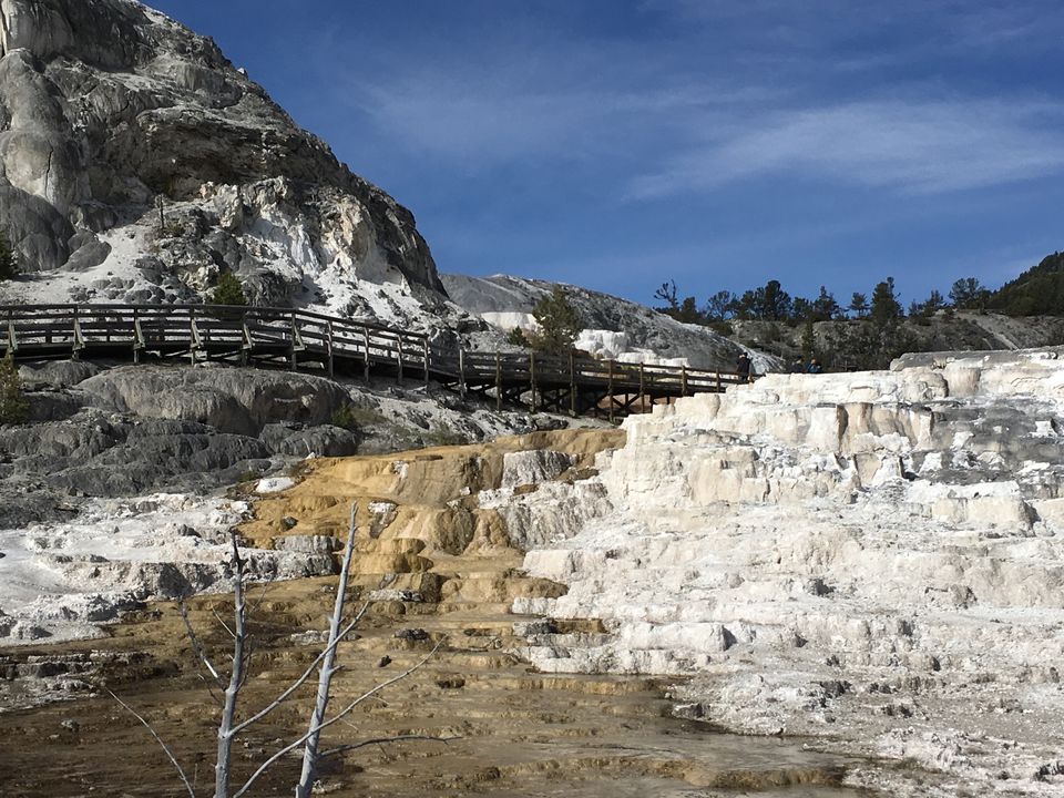 Photo of 4 Days in Yellowstone National Park by Ashish G