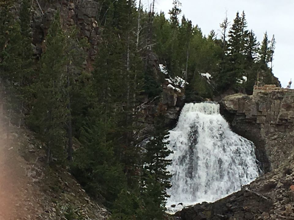 Photo of 4 Days in Yellowstone National Park by Ashish G