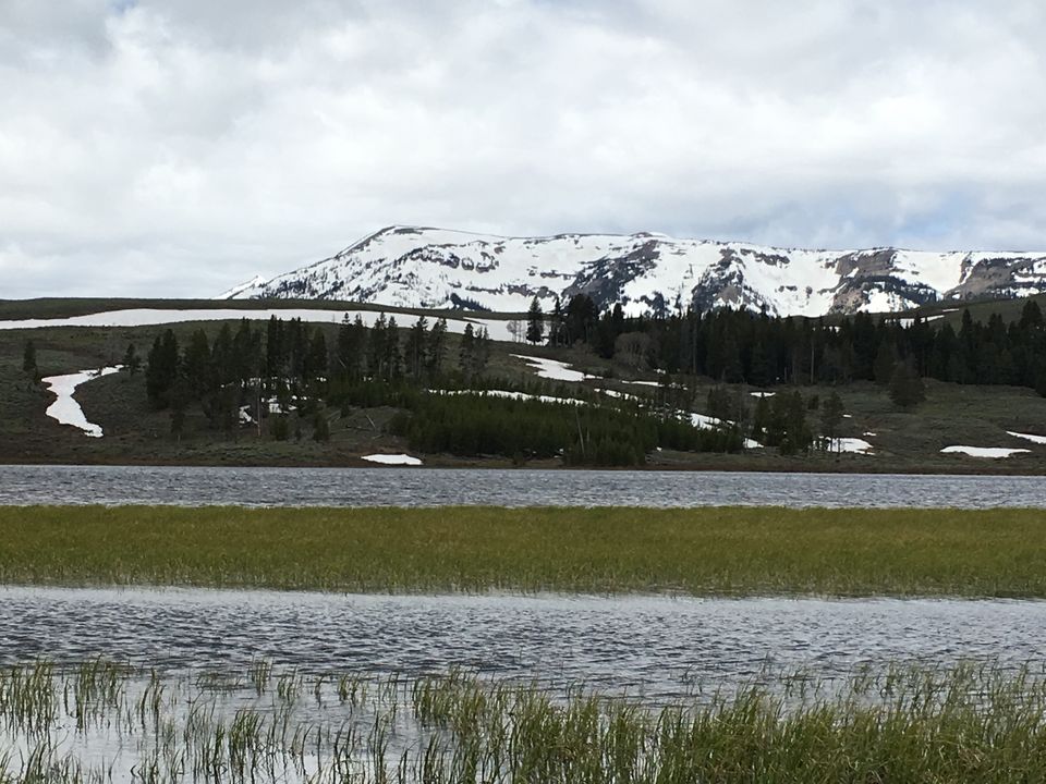 Photo of 4 Days in Yellowstone National Park by Ashish G