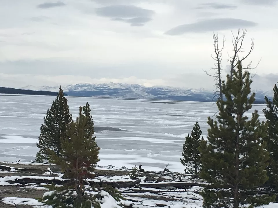 Photo of 4 Days in Yellowstone National Park [2017] by Ashish G