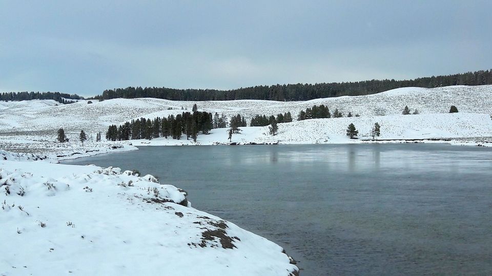 Photo of 4 Days in Yellowstone National Park by Ashish G
