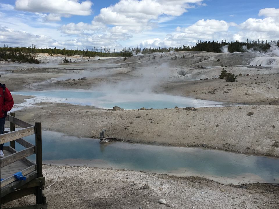 Photo of 4 Days in Yellowstone National Park by Ashish G