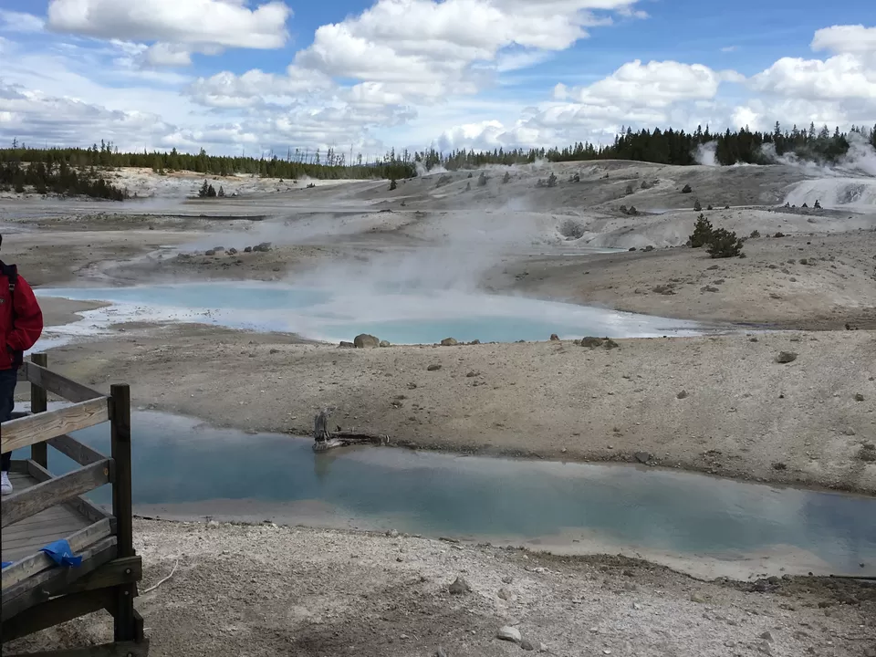 Photo of 4 Days in Yellowstone National Park [2017] by Ashish G