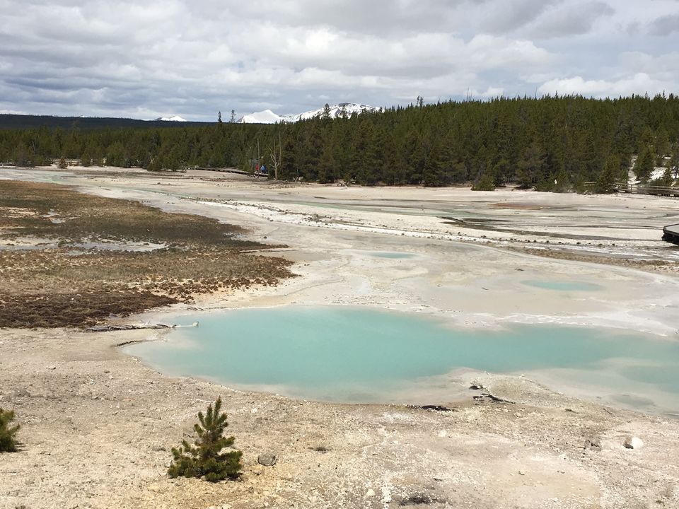 Photo of 4 Days in Yellowstone National Park by Ashish G