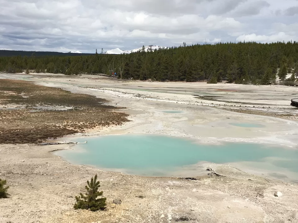 Photo of 4 Days in Yellowstone National Park [2017] by Ashish G