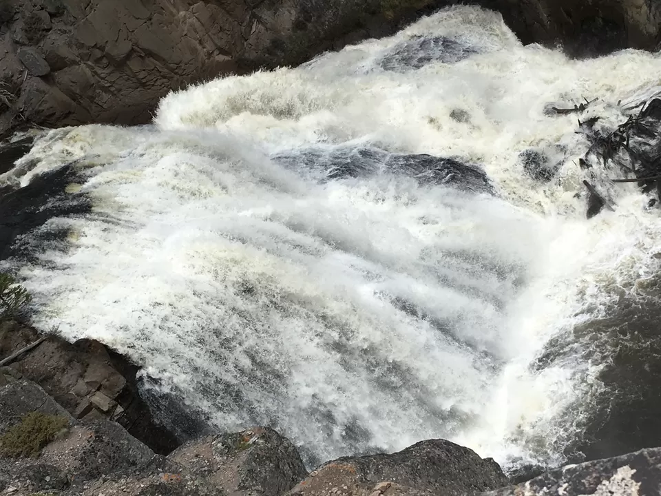 Photo of 4 Days in Yellowstone National Park [2017] by Ashish G