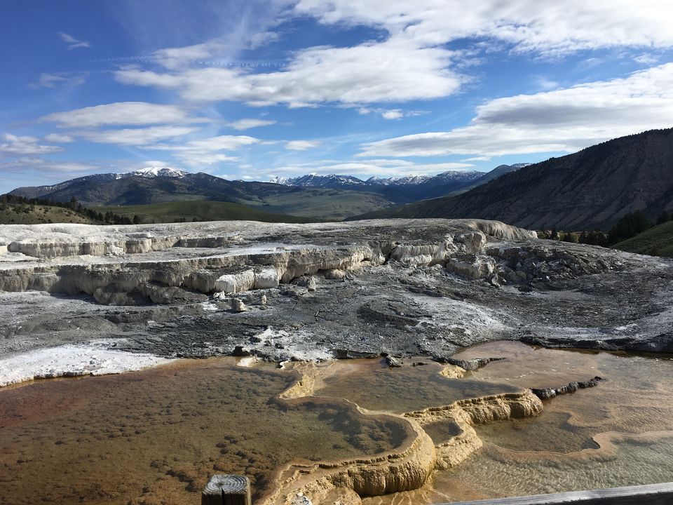 Photo of 4 Days in Yellowstone National Park by Ashish G