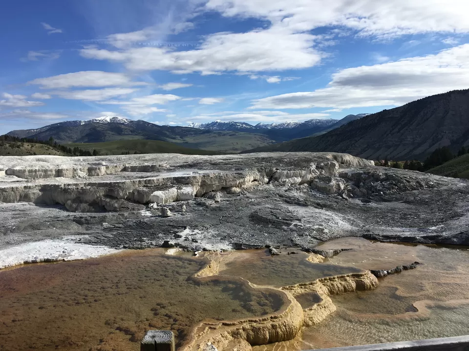 Photo of 4 Days in Yellowstone National Park [2017] by Ashish G
