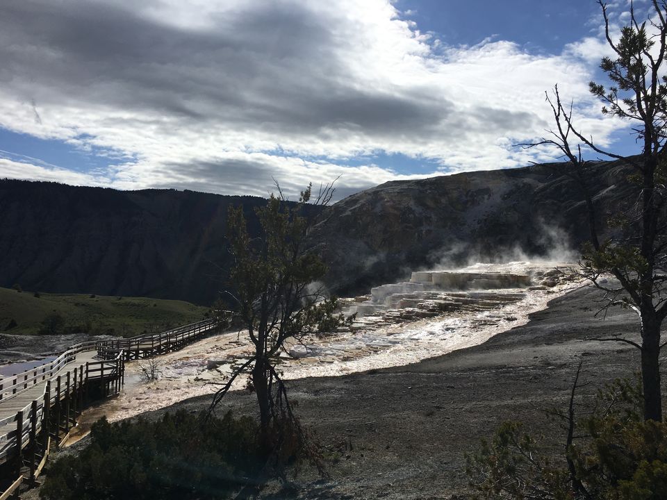 Photo of 4 Days in Yellowstone National Park by Ashish G
