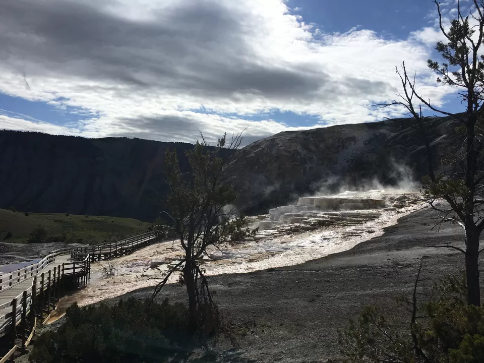 Photo of 4 Days in Yellowstone National Park [2017] by Ashish G