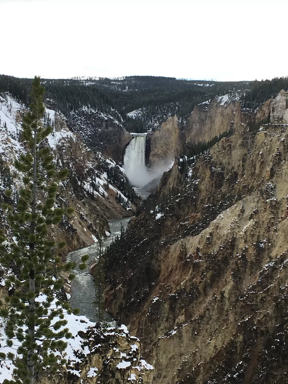 Photo of 4 Days in Yellowstone National Park [2017] by Ashish G