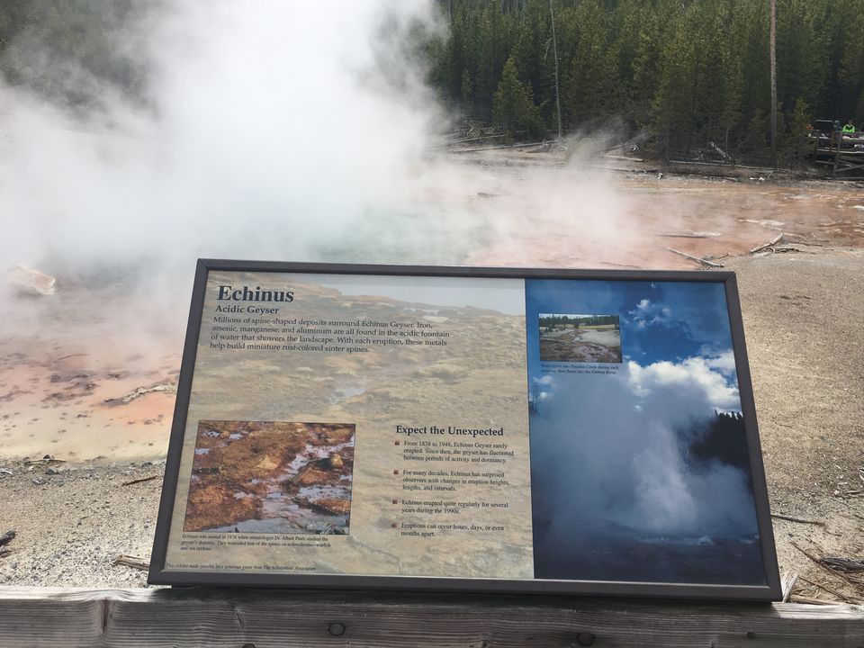 Photo of 4 Days in Yellowstone National Park by Ashish G