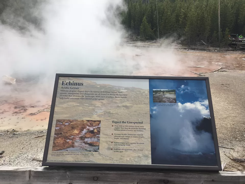 Photo of 4 Days in Yellowstone National Park [2017] by Ashish G