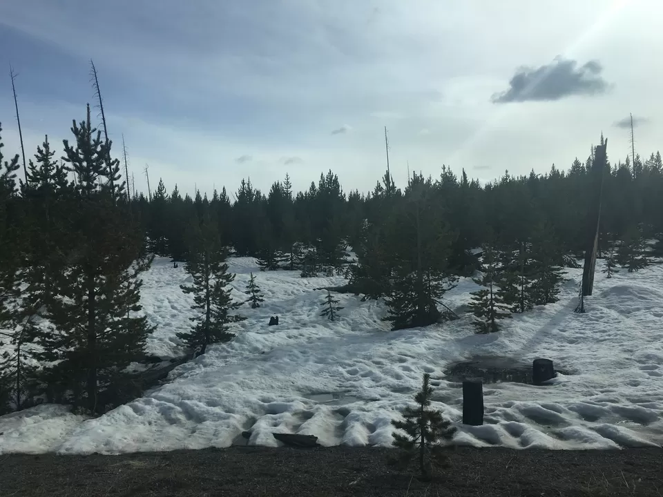 Photo of 4 Days in Yellowstone National Park [2017] by Ashish G