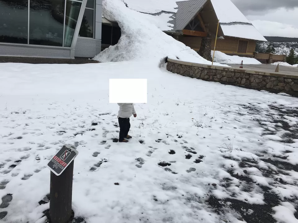 Photo of 4 Days in Yellowstone National Park [2017] by Ashish G